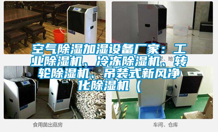 空氣除濕加濕設備廠家：工業除濕機、冷凍除濕機、轉輪除濕機、吊裝式新風凈化除濕機（