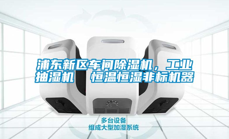浦東新區(qū)車間除濕機，工業(yè)抽濕機  恒溫恒濕非標機器