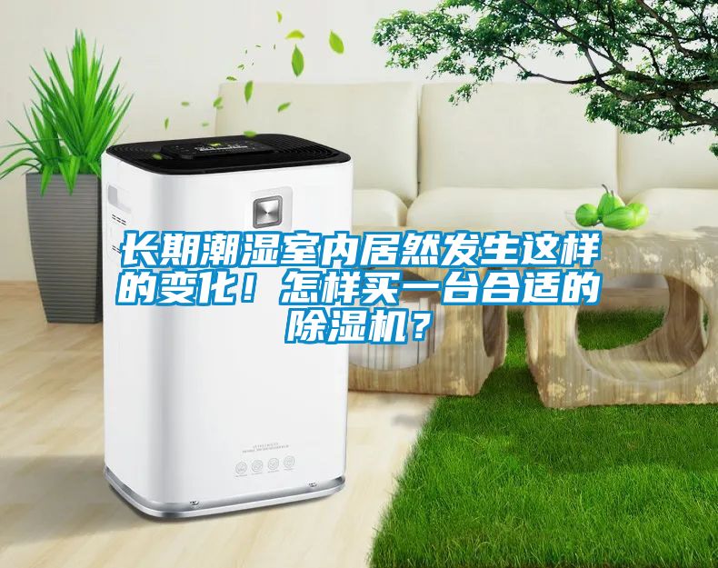 長期潮濕室內(nèi)居然發(fā)生這樣的變化！怎樣買一臺合適的除濕機(jī)？