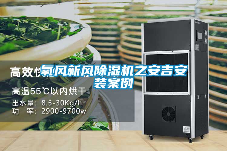 氧風(fēng)新風(fēng)除濕機之安吉安裝案例