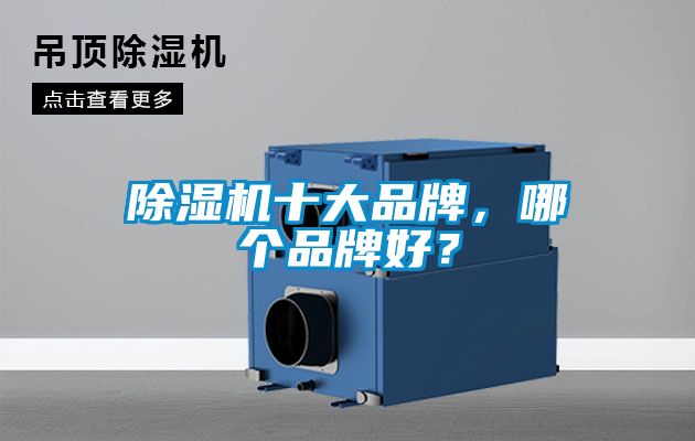 除濕機十大品牌，哪個品牌好？