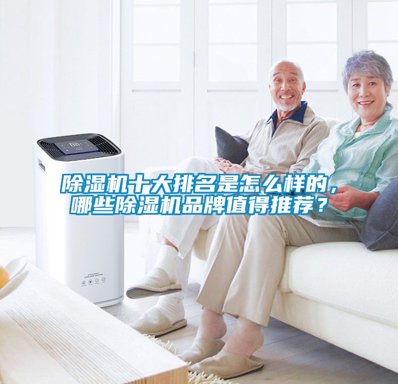 除濕機十大排名是怎么樣的，哪些除濕機品牌值得推薦？