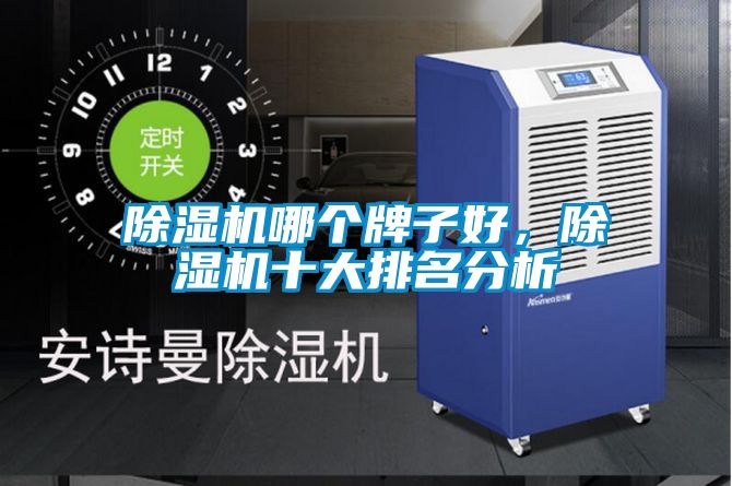 除濕機哪個牌子好，除濕機十大排名分析