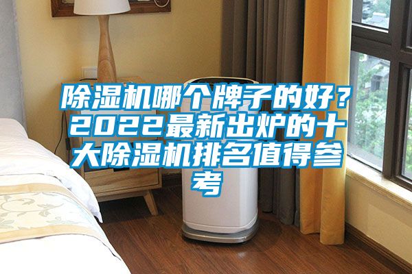 除濕機哪個牌子的好？2022最新出爐的十大除濕機排名值得參考