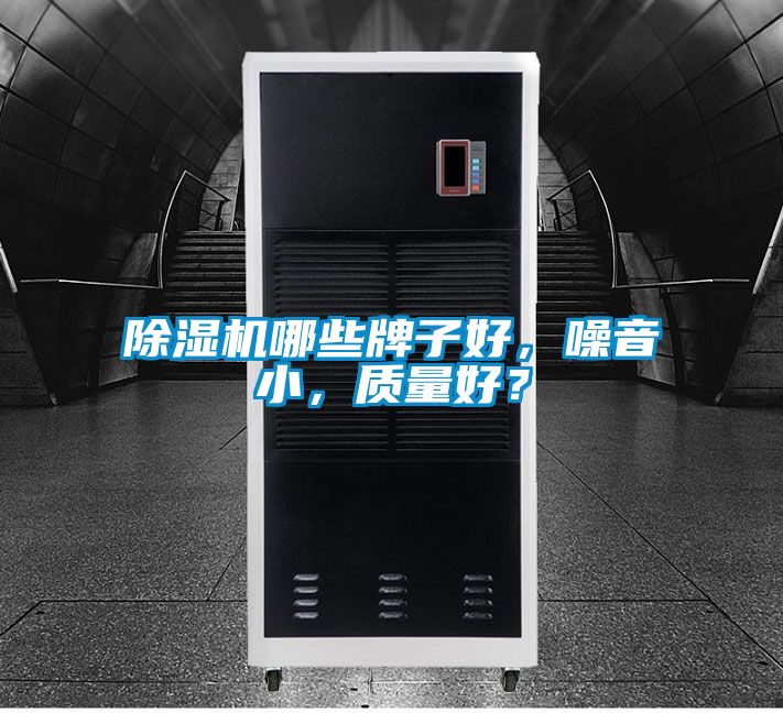 除濕機(jī)哪些牌子好，噪音小，質(zhì)量好？