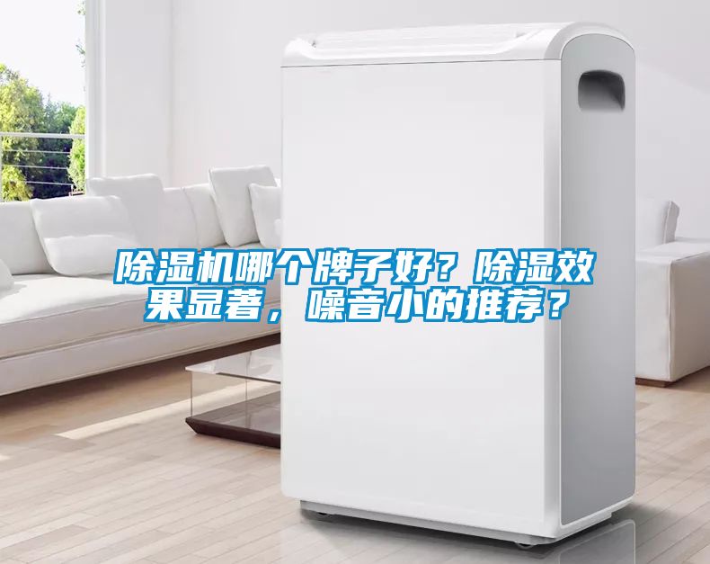 除濕機哪個牌子好？除濕效果顯著，噪音小的推薦？