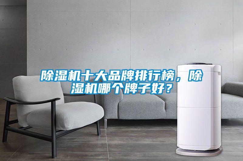 除濕機十大品牌排行榜，除濕機哪個牌子好？