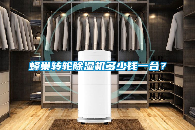 蜂巢轉輪除濕機多少錢一臺？
