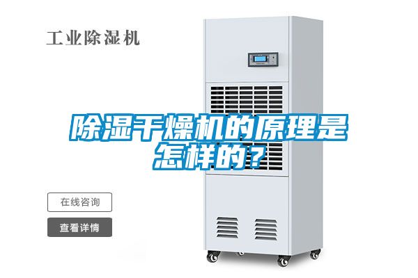 除濕干燥機的原理是怎樣的？