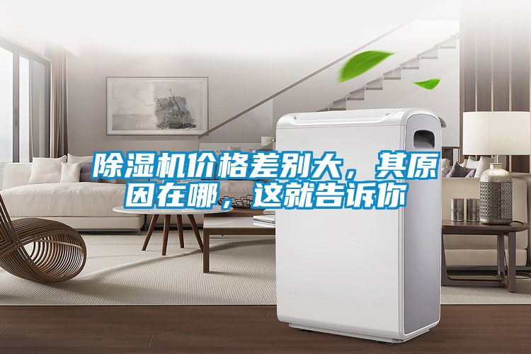除濕機(jī)價(jià)格差別大，其原因在哪，這就告訴你