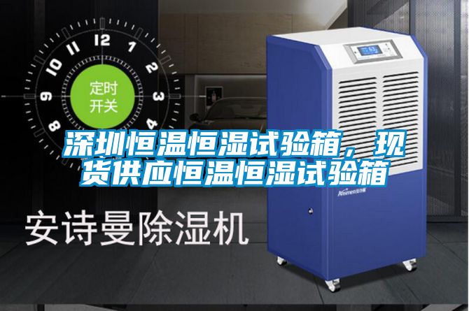 深圳恒溫恒濕試驗箱，現貨供應恒溫恒濕試驗箱