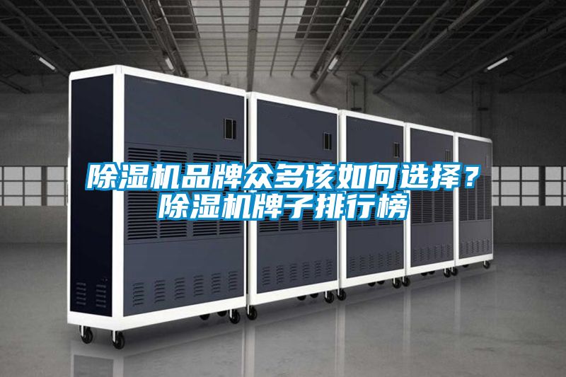 除濕機(jī)品牌眾多該如何選擇？除濕機(jī)牌子排行榜