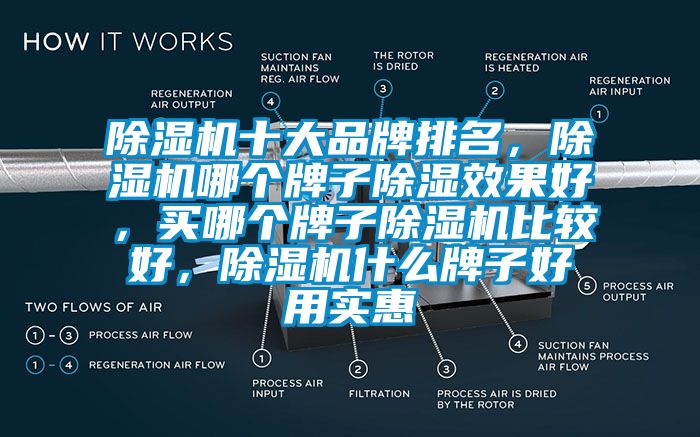 除濕機(jī)十大品牌排名，除濕機(jī)哪個(gè)牌子除濕效果好，買哪個(gè)牌子除濕機(jī)比較好，除濕機(jī)什么牌子好用實(shí)惠