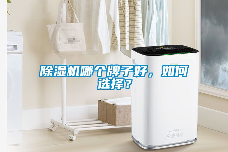 除濕機(jī)哪個(gè)牌子好，如何選擇？