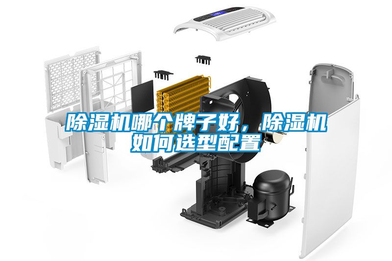 除濕機哪個牌子好，除濕機如何選型配置