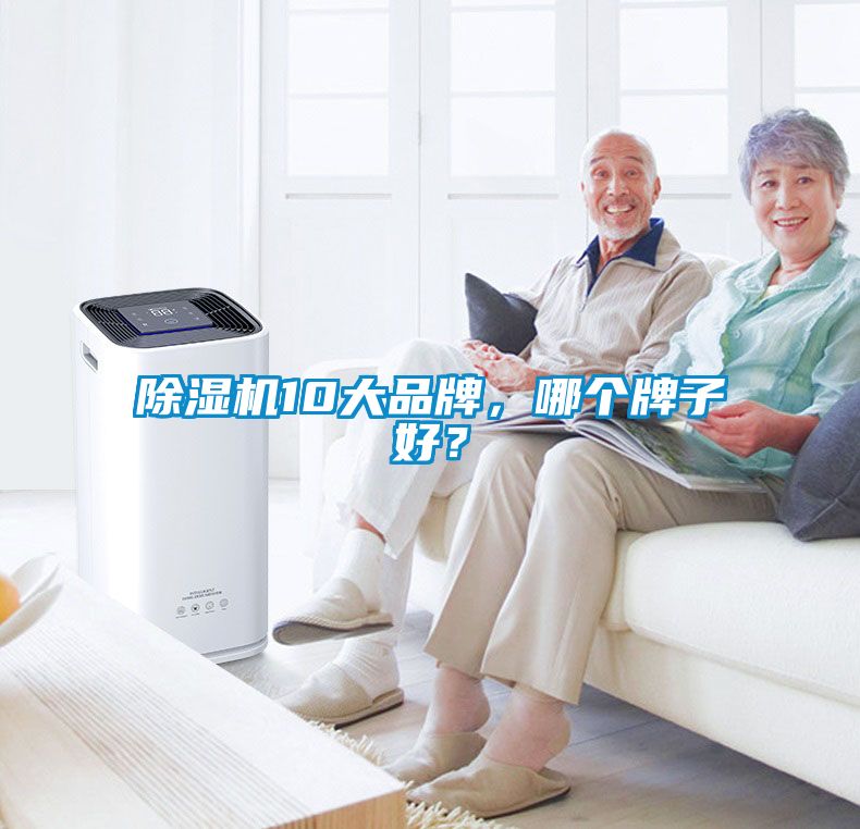 除濕機10大品牌，哪個牌子好？