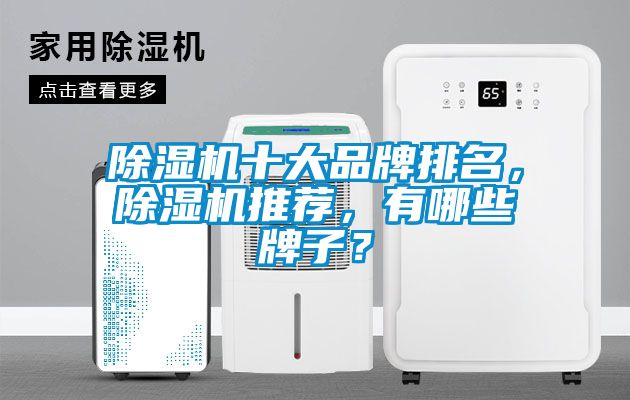 除濕機(jī)十大品牌排名，除濕機(jī)推薦，有哪些牌子？