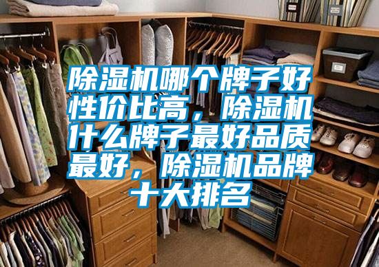除濕機(jī)哪個(gè)牌子好性?xún)r(jià)比高，除濕機(jī)什么牌子最好品質(zhì)最好，除濕機(jī)品牌十大排名