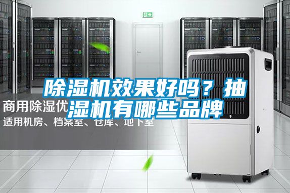 除濕機(jī)效果好嗎？抽濕機(jī)有哪些品牌
