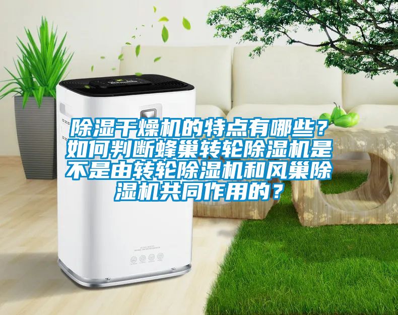 除濕干燥機(jī)的特點(diǎn)有哪些？如何判斷蜂巢轉(zhuǎn)輪除濕機(jī)是不是由轉(zhuǎn)輪除濕機(jī)和風(fēng)巢除濕機(jī)共同作用的？