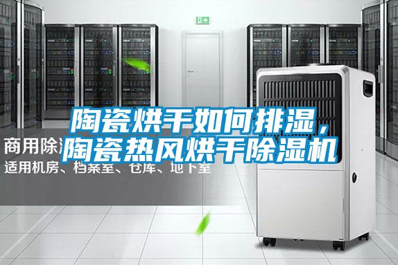 陶瓷烘干如何排濕，陶瓷熱風烘干除濕機