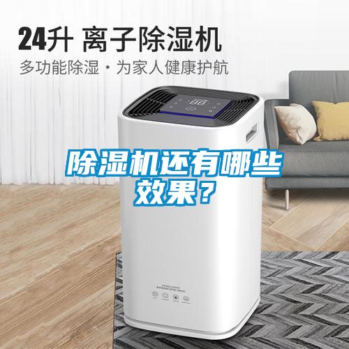 除濕機還有哪些效果？
