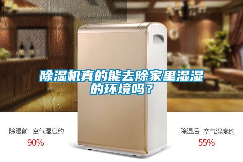 除濕機真的能去除家里濕濕的環境嗎？