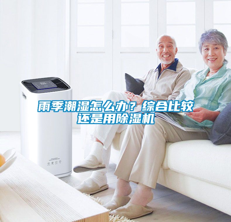 雨季潮濕怎么辦？綜合比較還是用除濕機