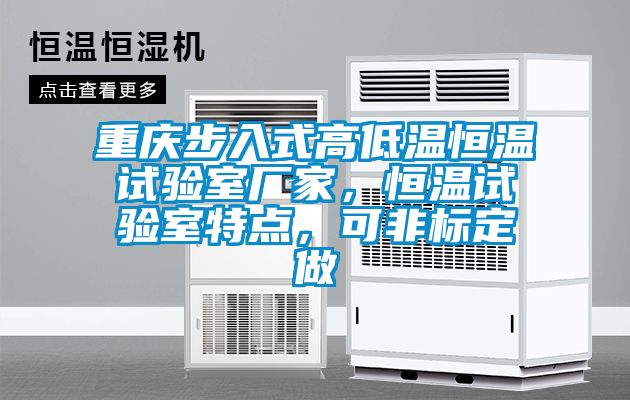 重慶步入式高低溫恒溫試驗室廠家，恒溫試驗室特點，可非標定做