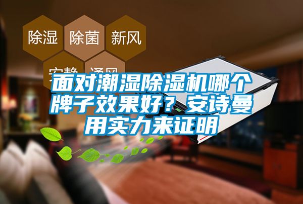 面對潮濕除濕機哪個牌子效果好？安詩曼用實力來證明
