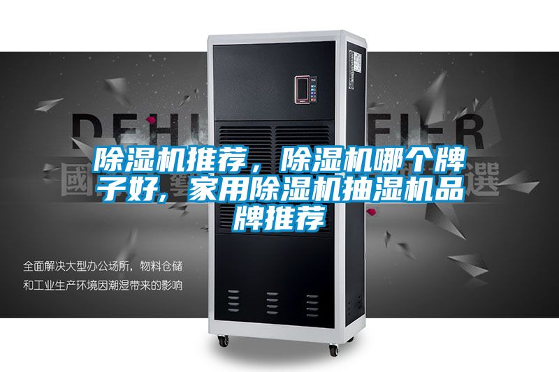 除濕機推薦，除濕機哪個牌子好, 家用除濕機抽濕機品牌推薦