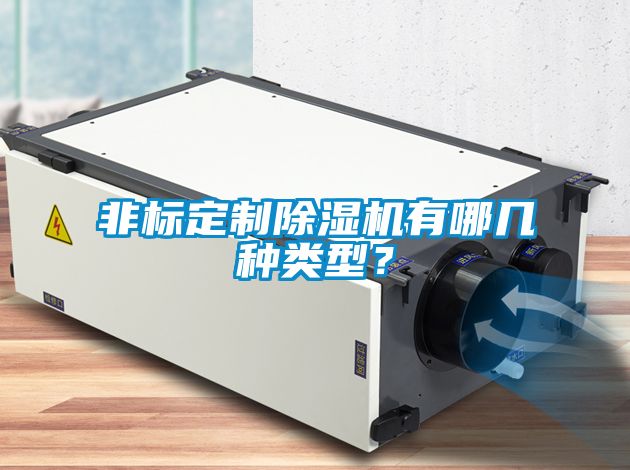 非標定制除濕機有哪幾種類型？