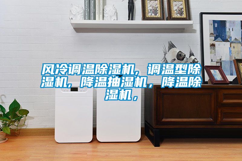 風(fēng)冷調(diào)溫除濕機(jī), 調(diào)溫型除濕機(jī), 降溫抽濕機(jī)，降溫除濕機(jī)，