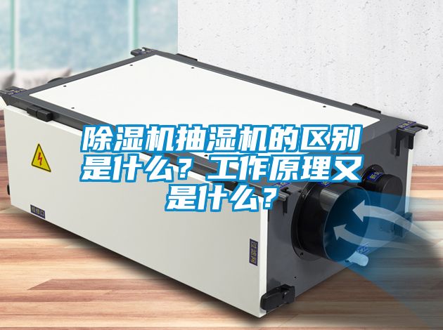 除濕機抽濕機的區(qū)別是什么？工作原理又是什么？