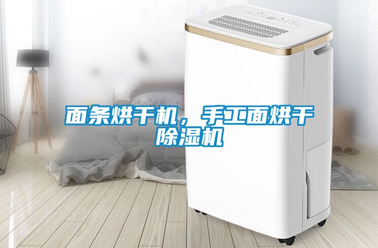 面條烘干機，手工面烘干除濕機