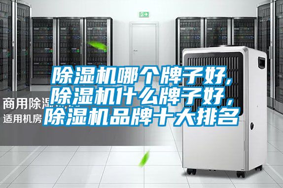 除濕機(jī)哪個(gè)牌子好,除濕機(jī)什么牌子好，除濕機(jī)品牌十大排名