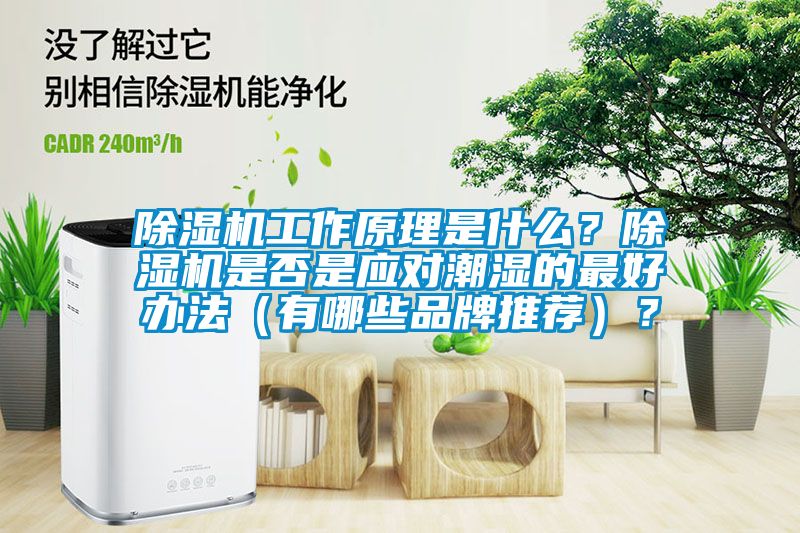 除濕機工作原理是什么？除濕機是否是應對潮濕的最好辦法（有哪些品牌推薦）？