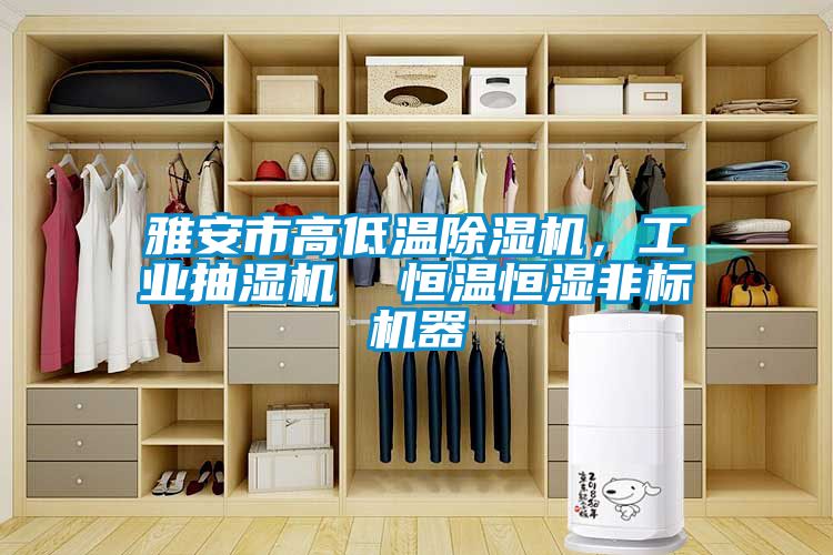 雅安市高低溫除濕機，工業抽濕機  恒溫恒濕非標機器