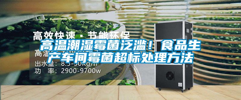 高溫潮濕霉菌泛濫！食品生產車間霉菌超標處理方法