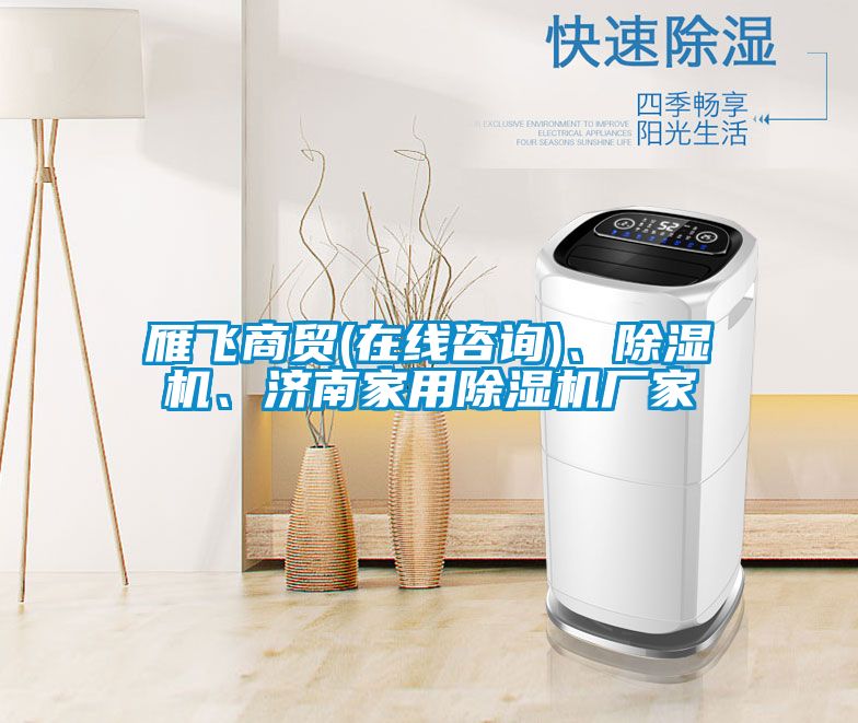 雁飛商貿(mào)(在線咨詢)、除濕機、濟南家用除濕機廠家