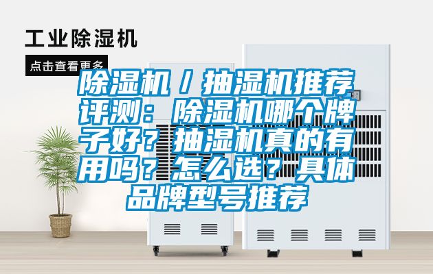 除濕機／抽濕機推薦評測：除濕機哪個牌子好？抽濕機真的有用嗎？怎么選？具體品牌型號推薦